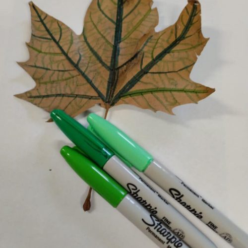 335438546_1231009561123962_6978249711592373649_n