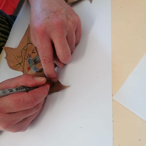 335860215_201229599258688_588787129767608706_n