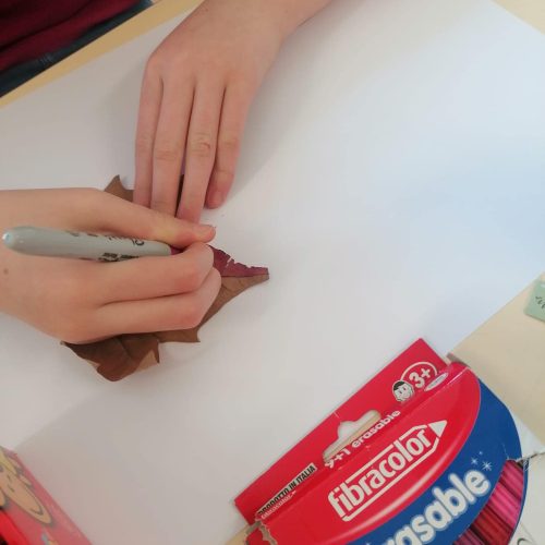 336119951_156033690333371_2256723479804308819_n