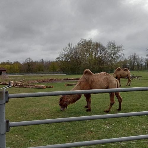 338756858_2157641491093452_79178034105846114_n