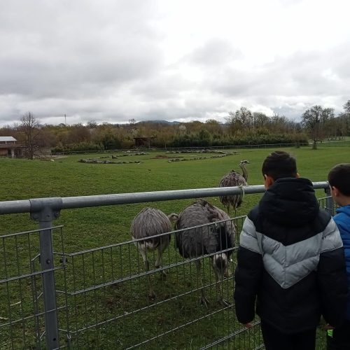 338833537_209065205067476_4235528471731487316_n