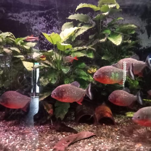 339043467_1225549891436107_3518485440527422455_n