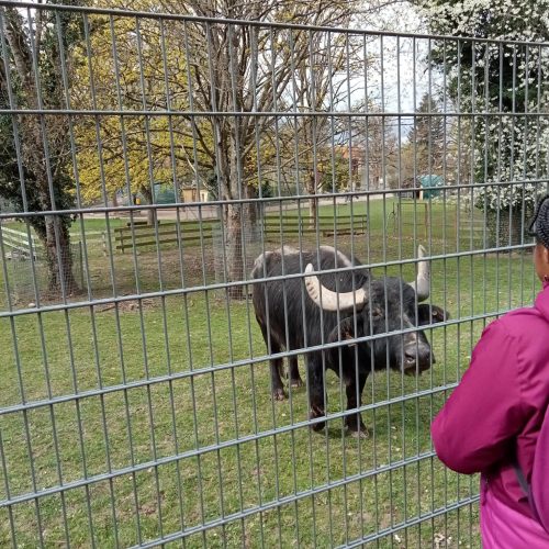 339128880_241752968235980_5542152680033004598_n