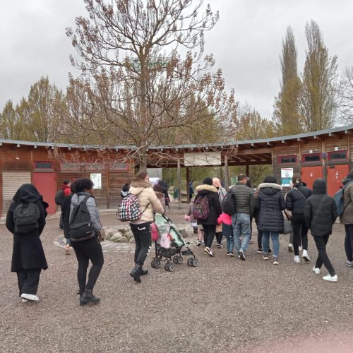 339139871_2823813641083551_8604817548340834891_n