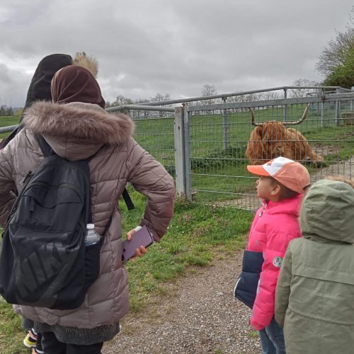 339251940_221234273827283_2139891718841124187_n