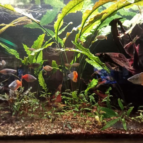 339479664_199549512816142_4314517147947003572_n