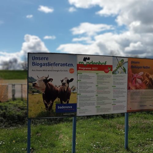 339644387_1614277349087726_8574273255233916018_n