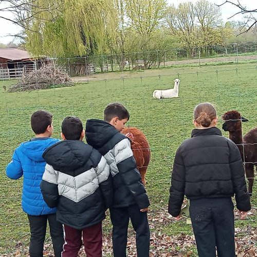 339665033_938319320546624_5101057493010552712_n