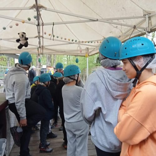 342863101_252849473784082_2791406455873096056_n