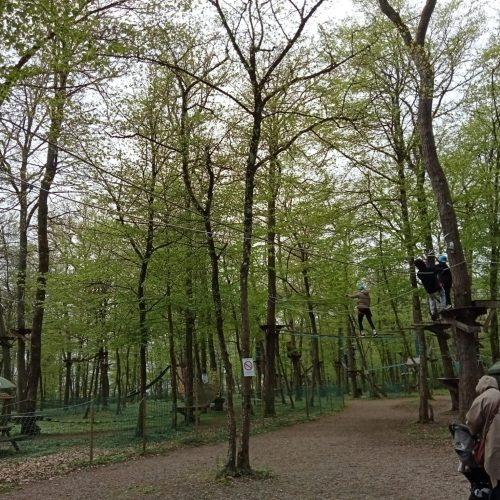 343197378_1279539629639668_7972283789135232793_n