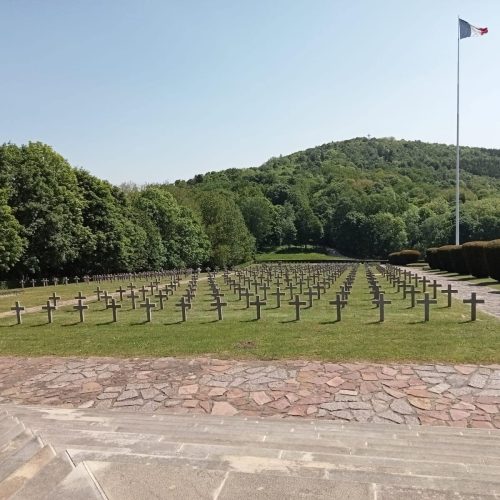 351122468_206078529040279_5944063028561113539_n