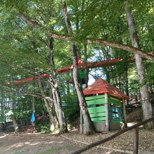 353822042_267820262468376_2577607642833926529_n