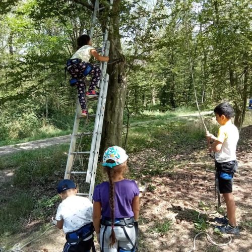 361834398_288131587103910_1527190364892147222_n