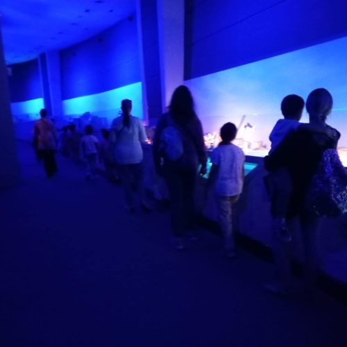 387114380_332458686004533_2463823767068316410_n