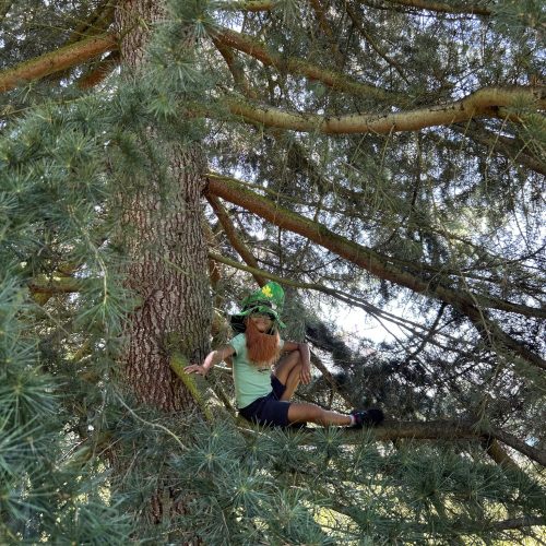 509365416_728179386432459_2704977594475322310_n