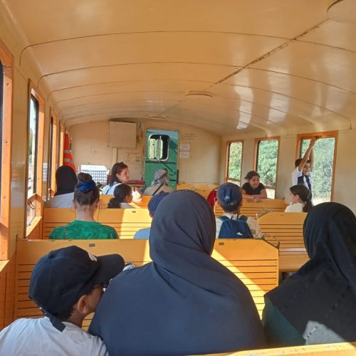 522915663_753566867227044_634407540427368737_n